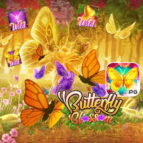 betflikno1 butterfly blossom